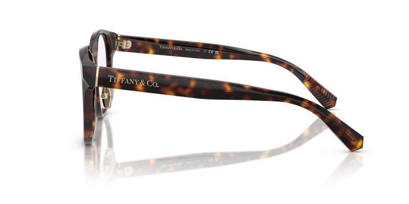 Tiffany & Co TF2264D-8015 - Side View