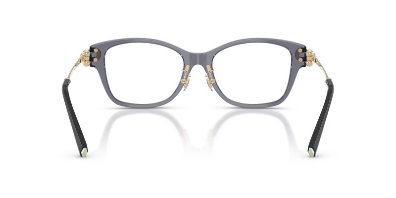 Tiffany & Co TF2266F-8405 - Back View