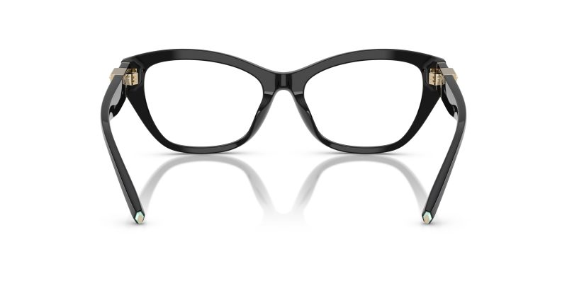 Tiffany & Co TF2268U-8001 - Back View