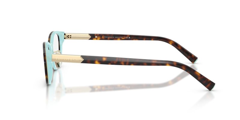 Tiffany & Co TF2280D-8134 - Side View