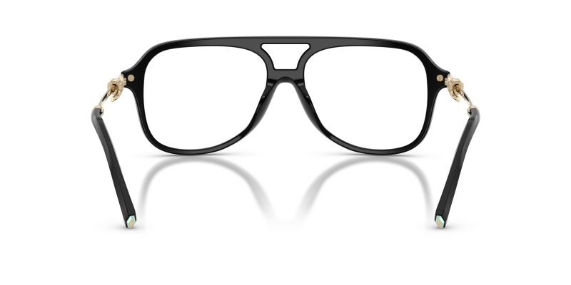 Tiffany & Co TF2283-8001 - Back View