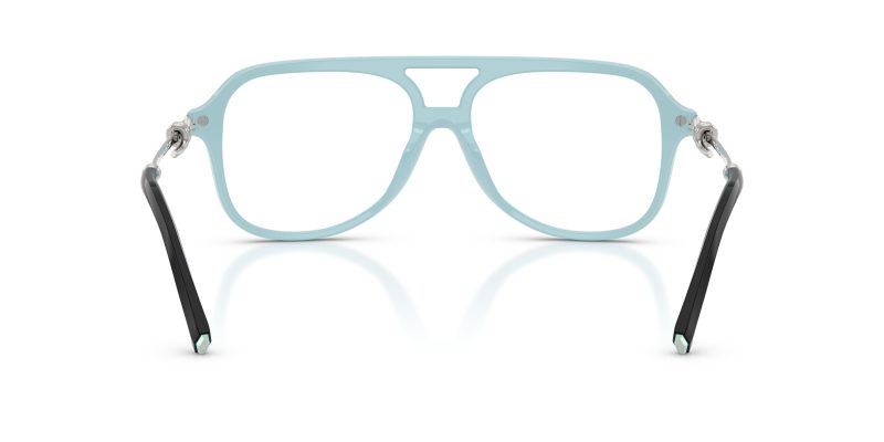 Tiffany & Co TF2283-8055 - Back View