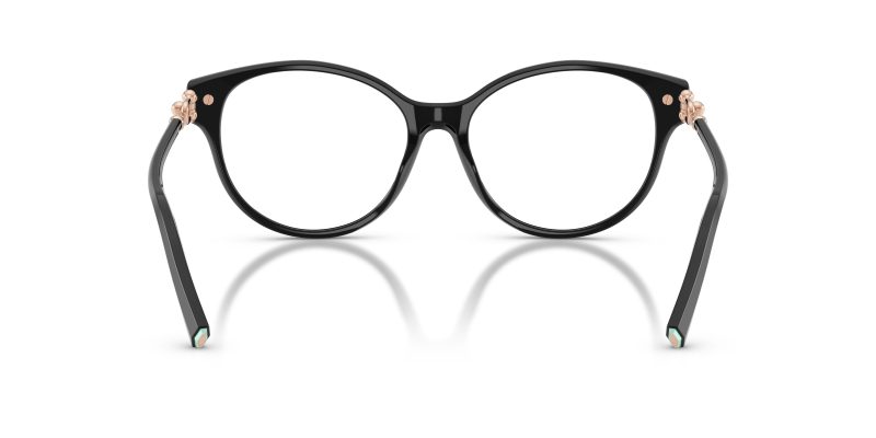 Tiffany & Co TF2289F-8001 - Back View