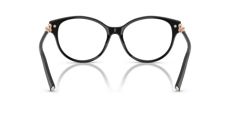Tiffany & Co TF2289F-8001 - Back View