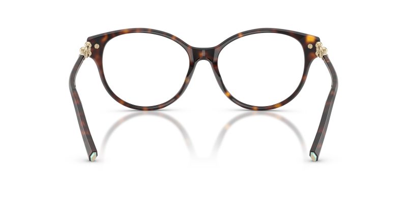 Tiffany & Co TF2289F-8015 - Back View