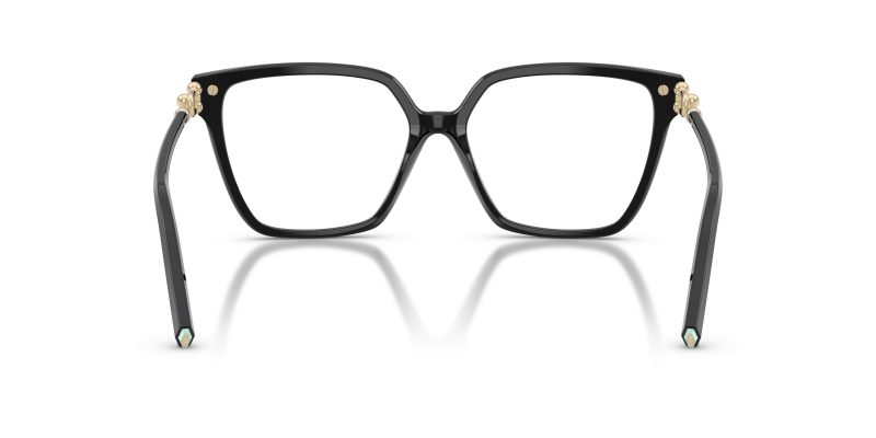 Tiffany & Co TF2290BU-8001 - Back View