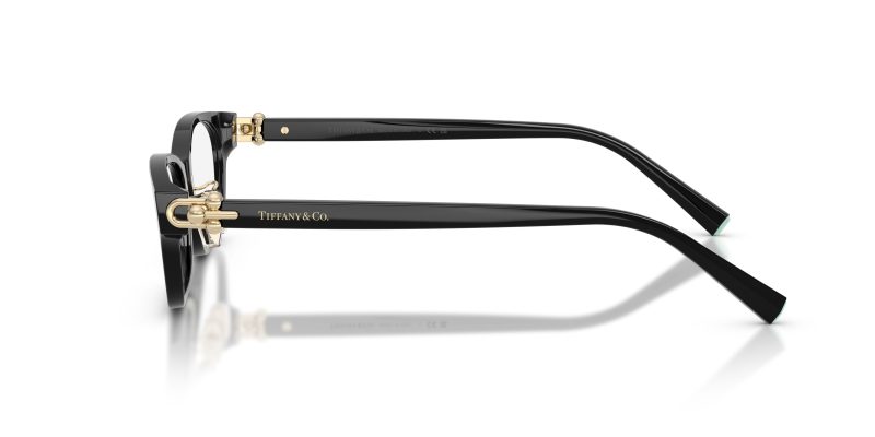 Tiffany & Co TF2291D-8001 - Side View