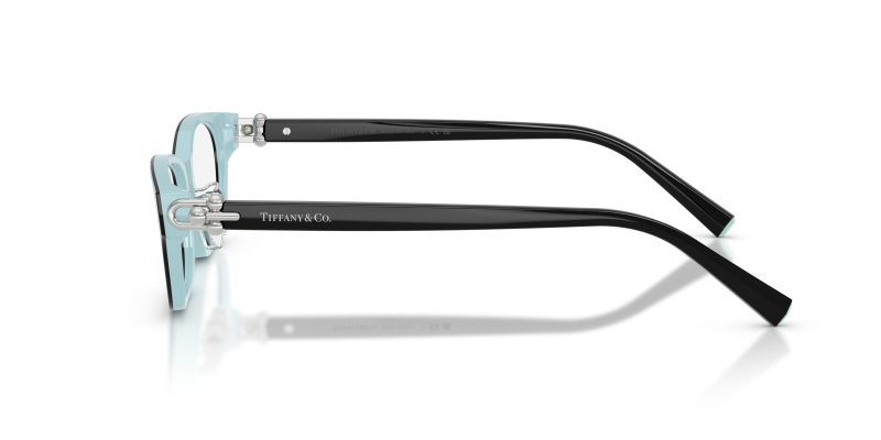 Tiffany & Co TF2291D-8055 - Side View