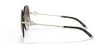 Tiffany & Co TF3077-60213B - Side View