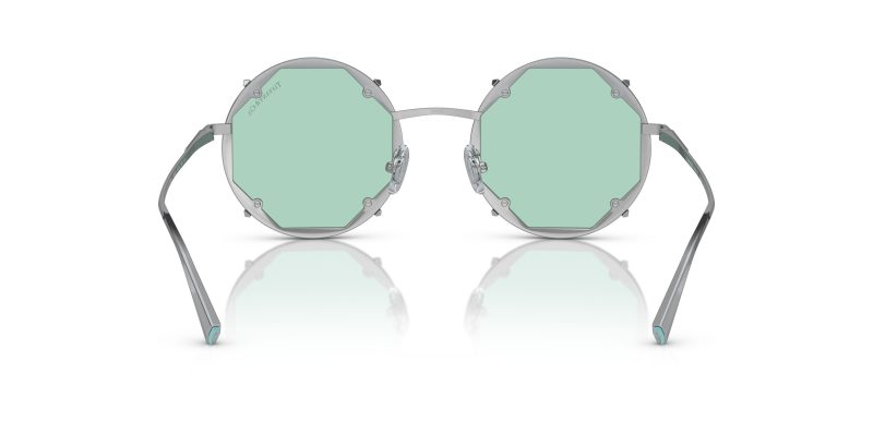 Tiffany & Co TF3091-6001D9 - Back View