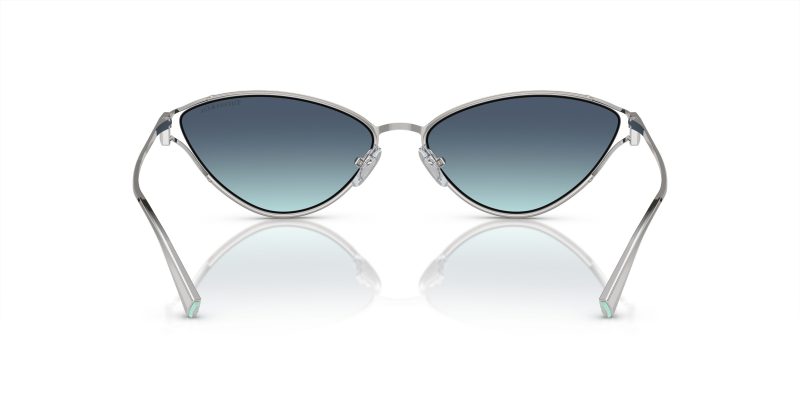 Tiffany & Co TF3095-60019S - Back View