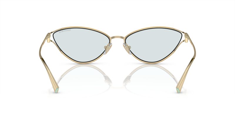 Tiffany & Co TF3095-6196MF - Back View