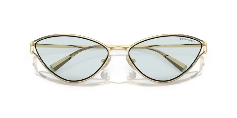 Tiffany & Co TF3095-6196MF - Folded View