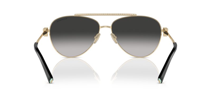 Tiffany & Co TF3101B-60213C - Back View