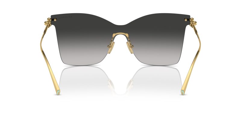 Tiffany & Co TF3103K-62113C - Back View