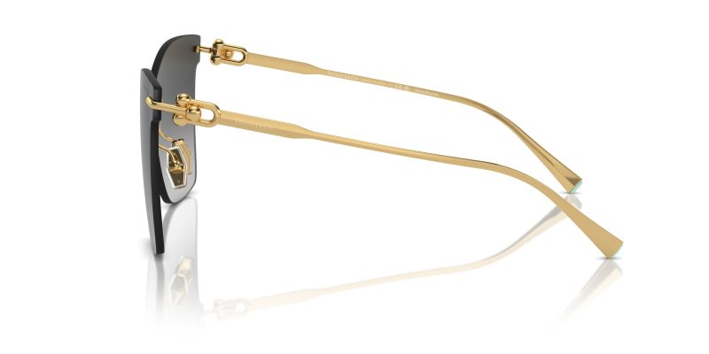 Tiffany & Co TF3103K-62113C - Side View