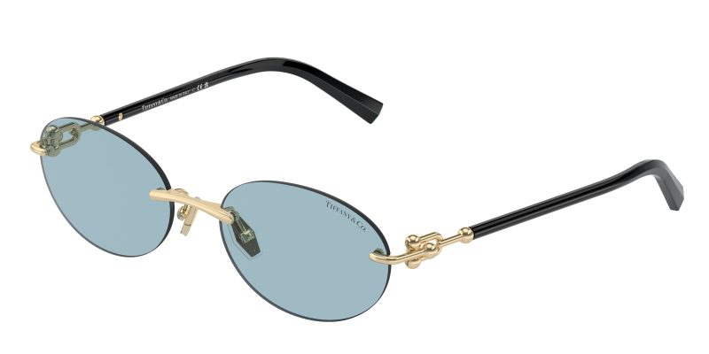 Tiffany & Co TF3104D-602180 Tiffany & Co TF3104D-602180