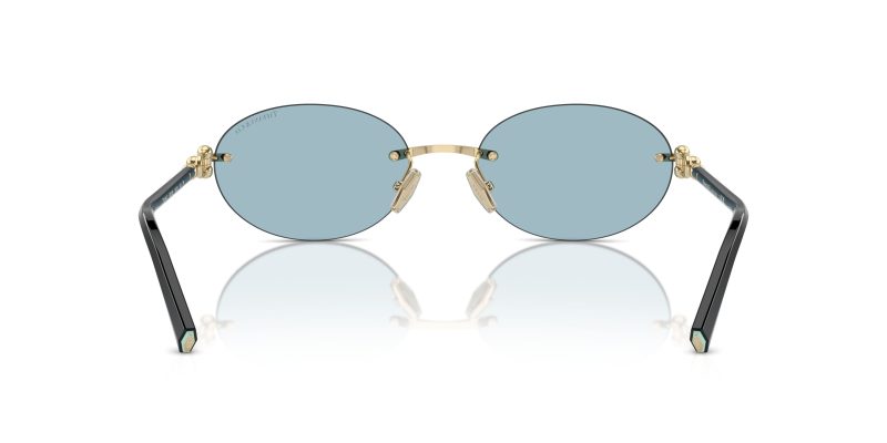 Tiffany & Co TF3104D-602180 - Back View