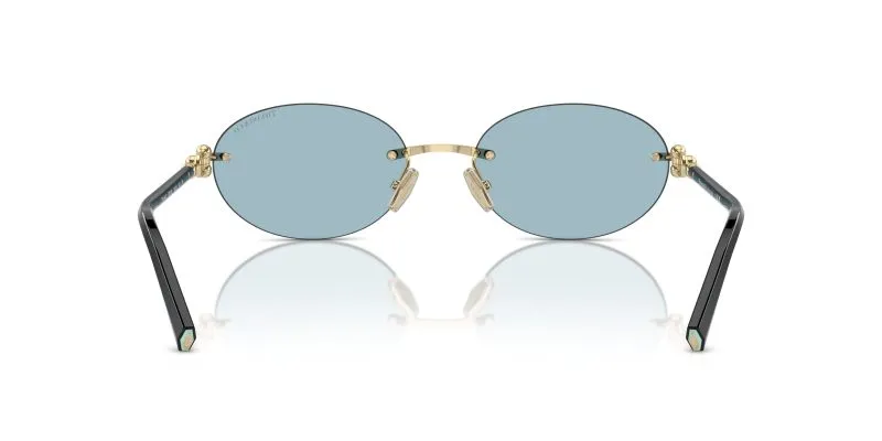 Tiffany & Co TF3104D-602180 - Back View