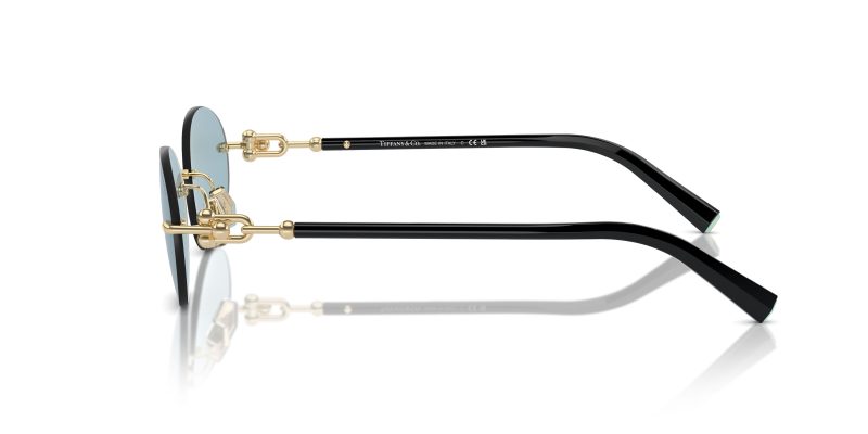 Tiffany & Co TF3104D-602180 - Side View