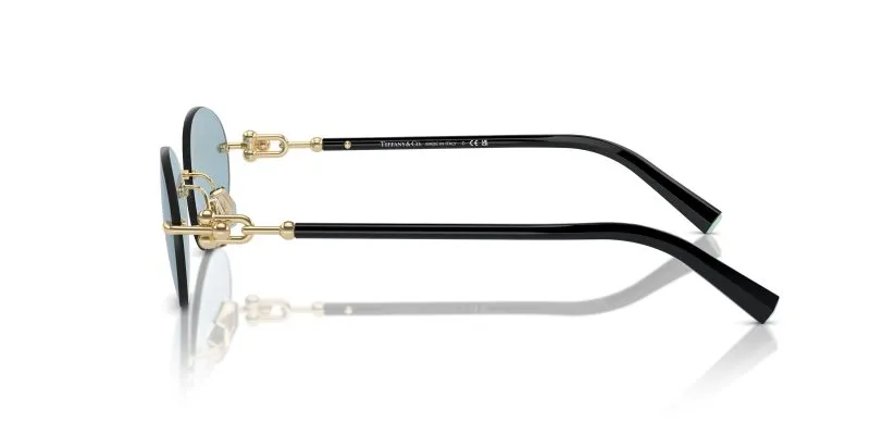 Tiffany & Co TF3104D-602180 - Side View