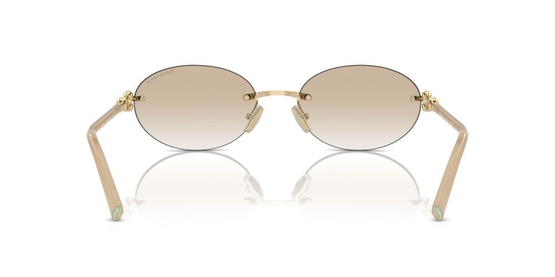 Tiffany & Co TF3104D-617811 - Back View