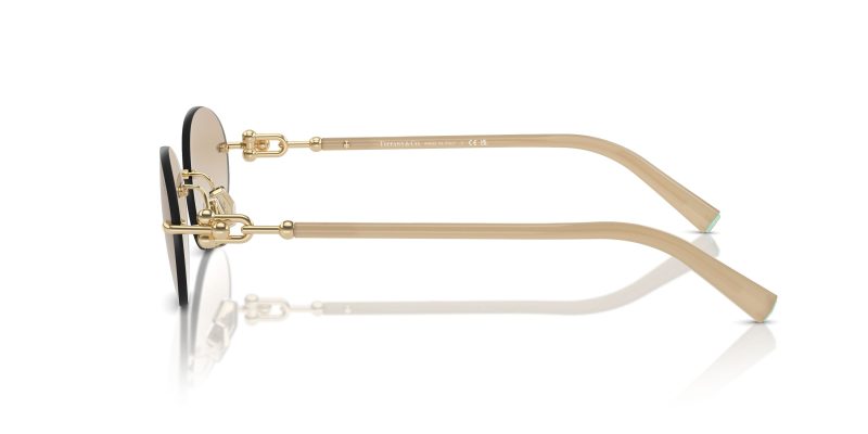 Tiffany & Co TF3104D-617811 - Side View