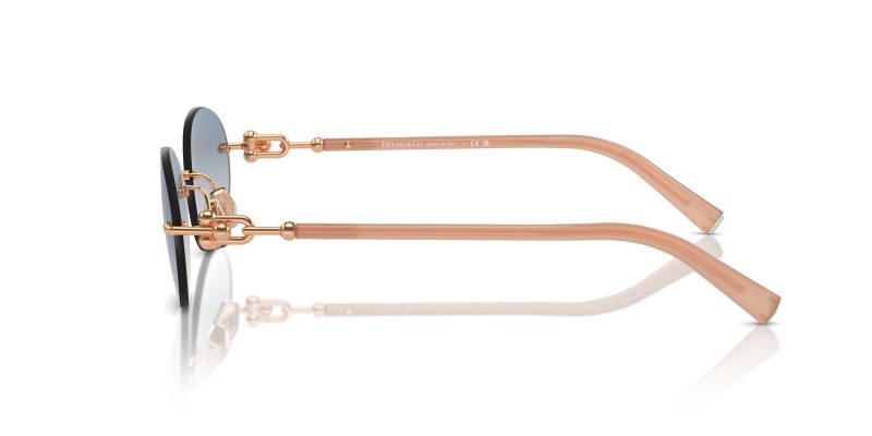 Tiffany & Co TF3104D-621716 - Side View