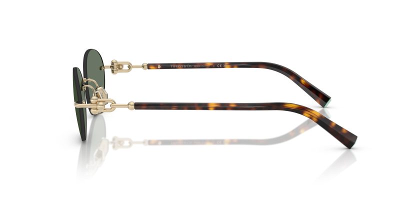 Tiffany & Co TF3104D-623882 - Side View