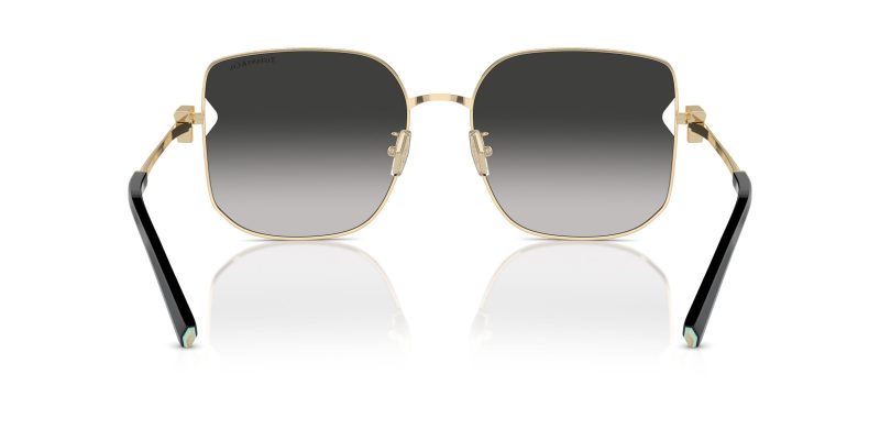 Tiffany & Co TF3105D-6021S4 - Back View