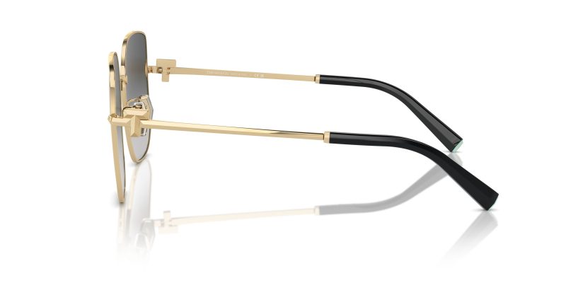 Tiffany & Co TF3105D-6021S4 - Side View