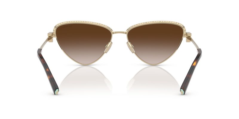 Tiffany & Co TF3107KB-62123B - Back View