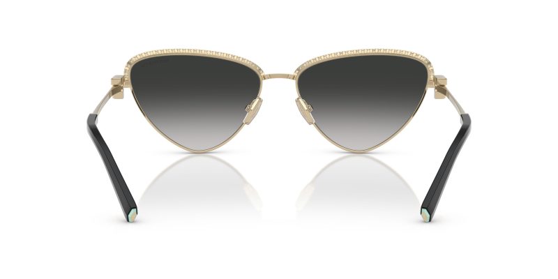 Tiffany & Co TF3107KB-62203C - Back View