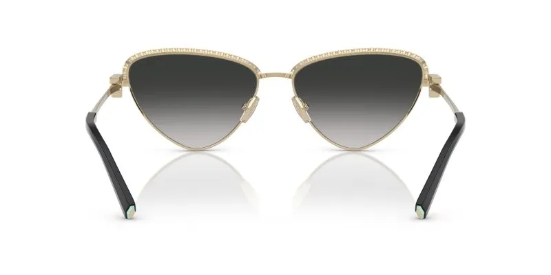 Tiffany & Co TF3107KB-62203C - Back View