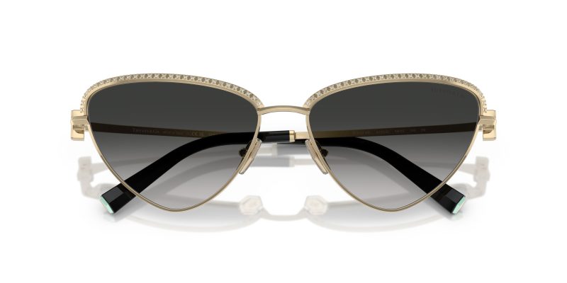 Tiffany & Co TF3107KB-62203C - Folded View