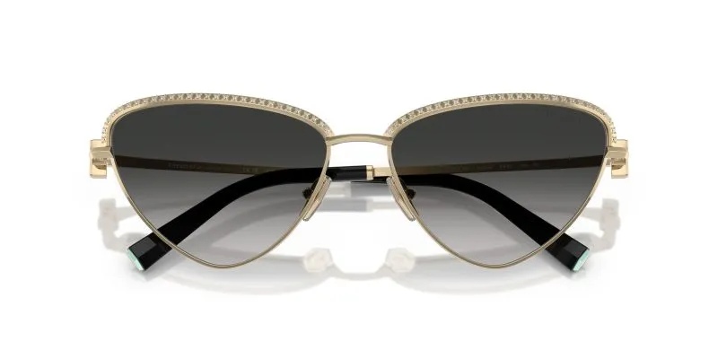 Tiffany & Co TF3107KB-62203C - Folded View