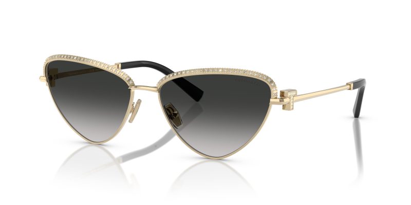 Tiffany & Co TF3107KB-62203C - Quarter View