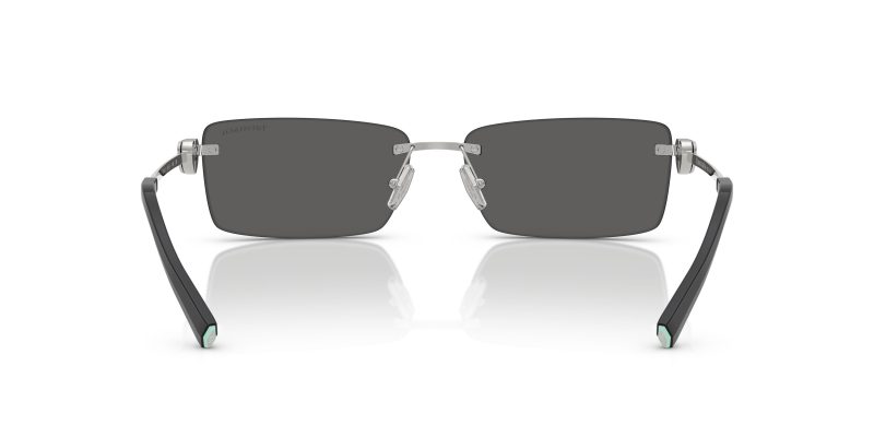 Tiffany & Co TF3108B-6001S4 - Back View