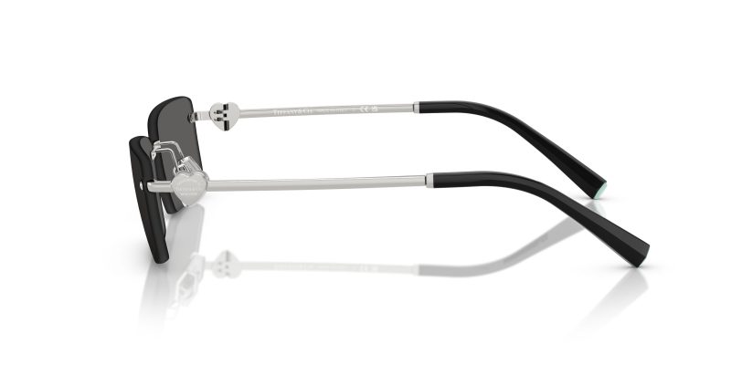 Tiffany & Co TF3108B-6001S4 - Side View