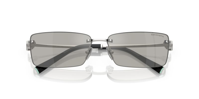 Tiffany & Co TF3108B-61956G - Folded View