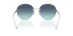 Tiffany & Co TF3110KB-62139S - Back View