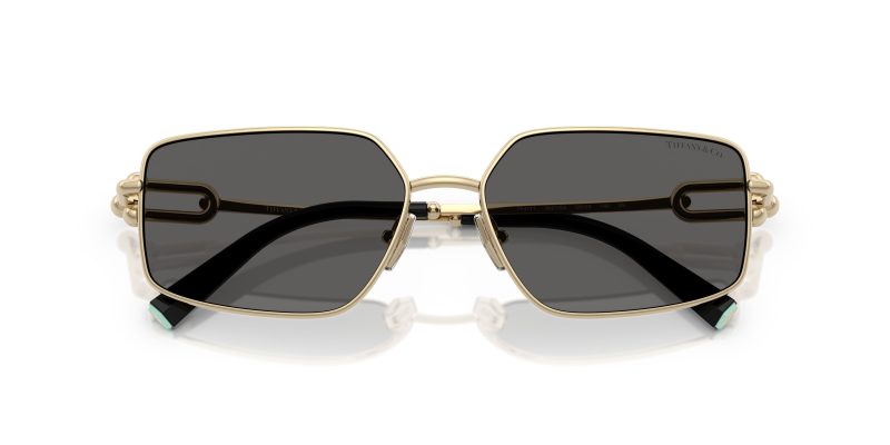 Tiffany & Co TF3111-6021S4 - Folded View