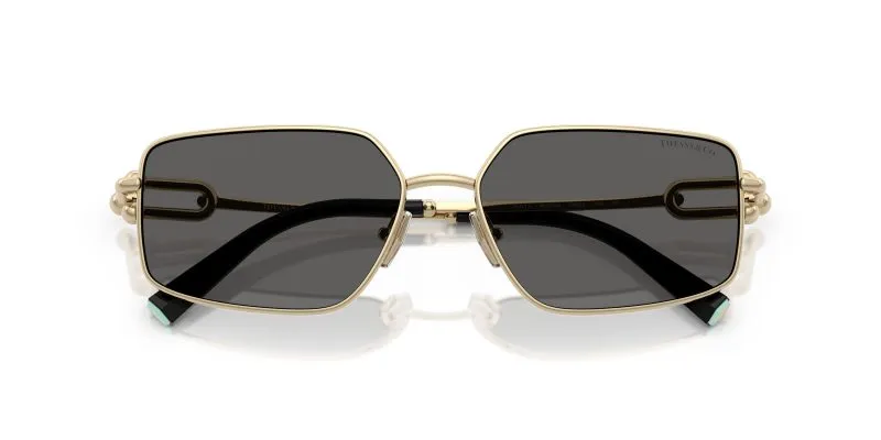 Tiffany & Co TF3111-6021S4 - Folded View