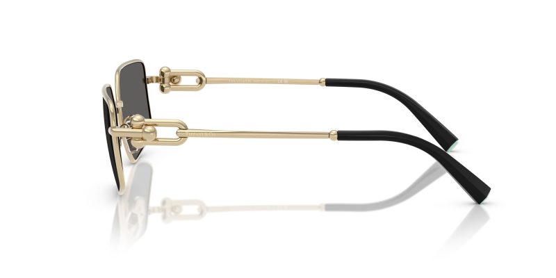 Tiffany & Co TF3111-6021S4 - Side View