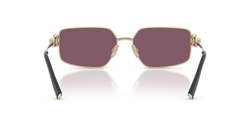 Tiffany & Co TF3111-6194AK - Back View