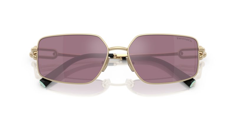 Tiffany & Co TF3111-6194AK - Folded View