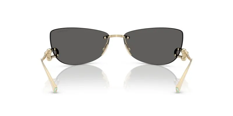 Tiffany & Co TF3112K-6220S4 - Back View