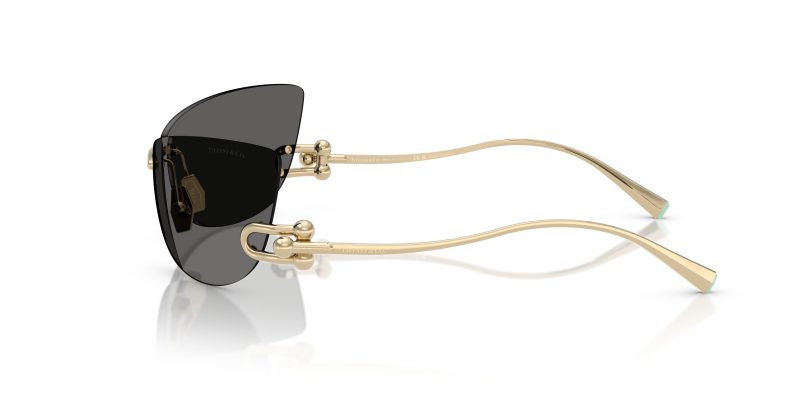 Tiffany & Co TF3112K-6220S4 - Side View