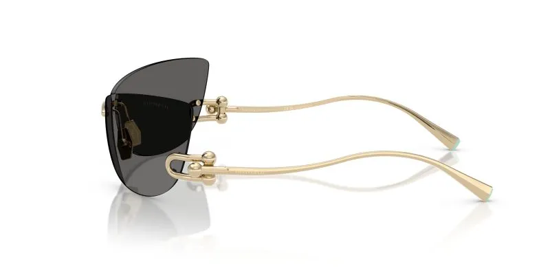 Tiffany & Co TF3112K-6220S4 - Side View