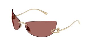 Tiffany & Co TF3112K-622569